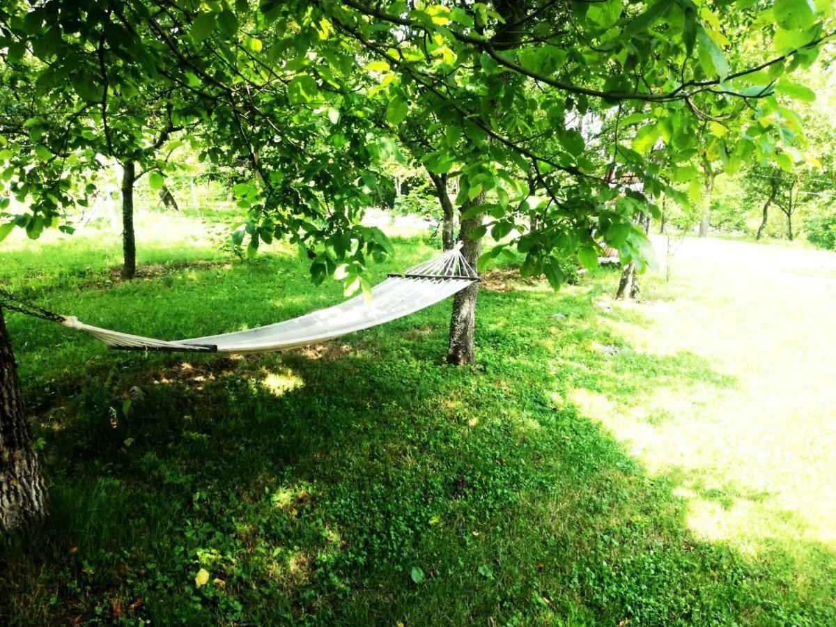Apartman Nino Tounj Екстер'єр фото